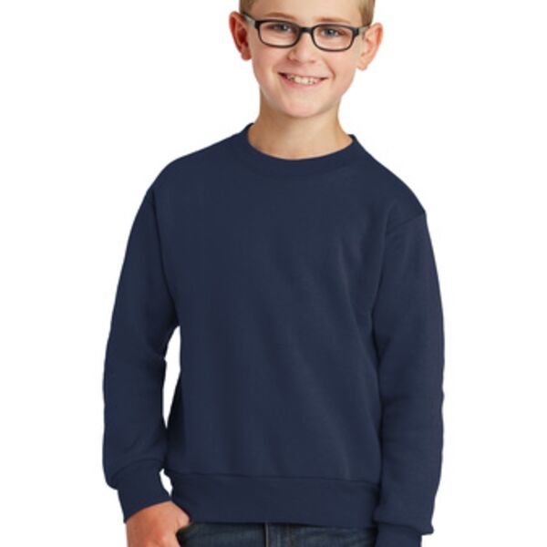 Youth Core Fleece Crewneck Sweatshirt Thumbnail